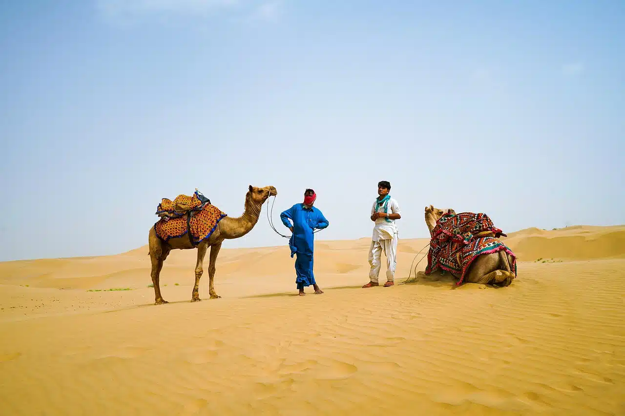 Desert Tour