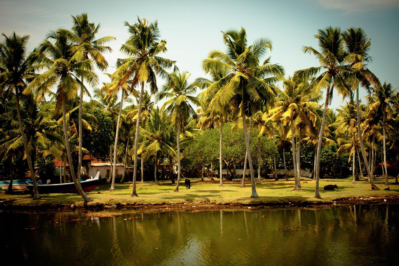 Kerala Honeymoon Tour Package