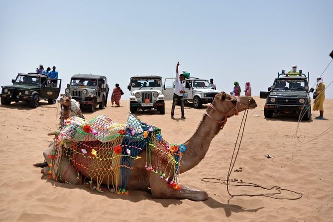 Desert Experience in Osian